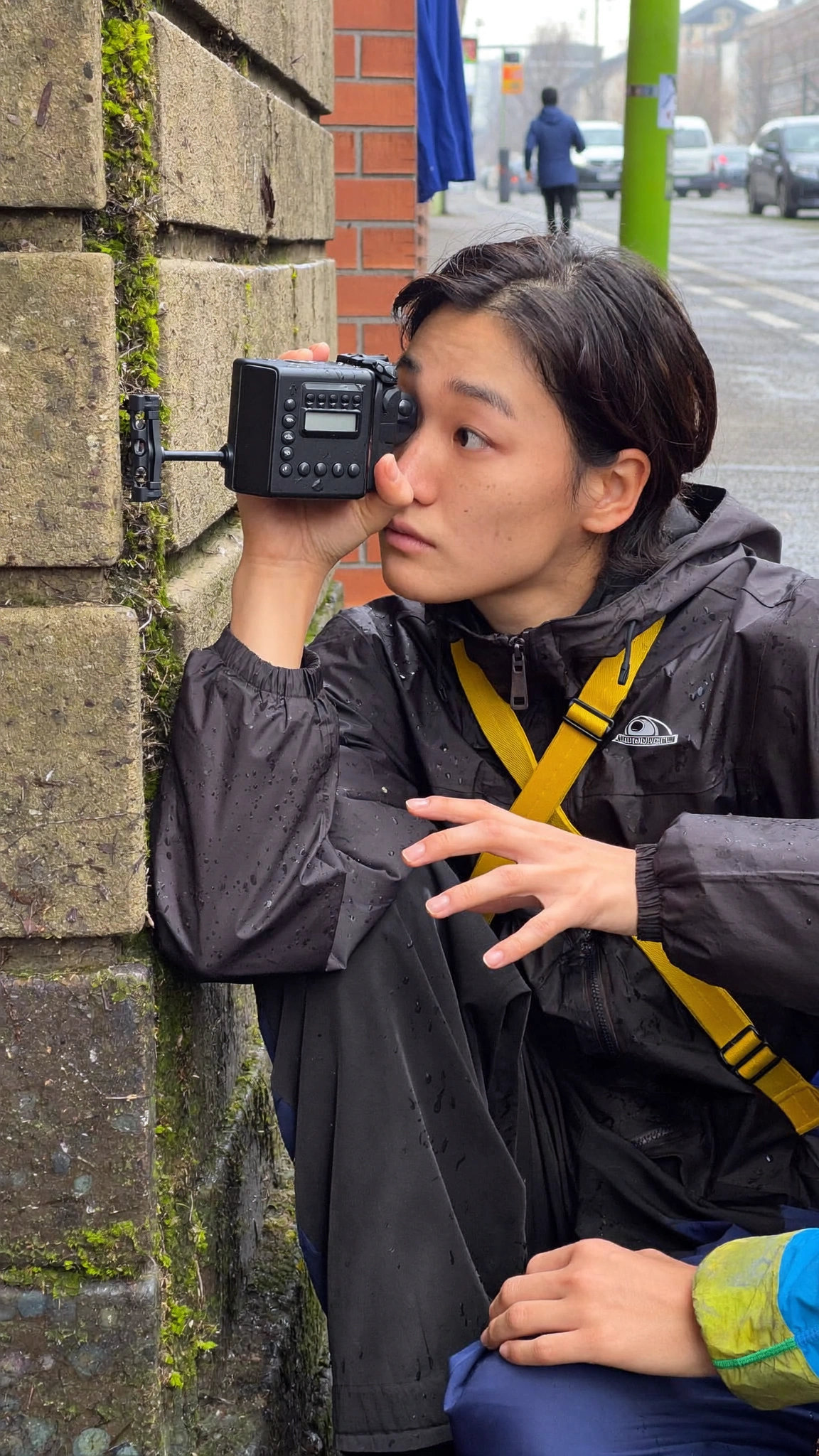A field worker records growth along rain-darkened city masonry.