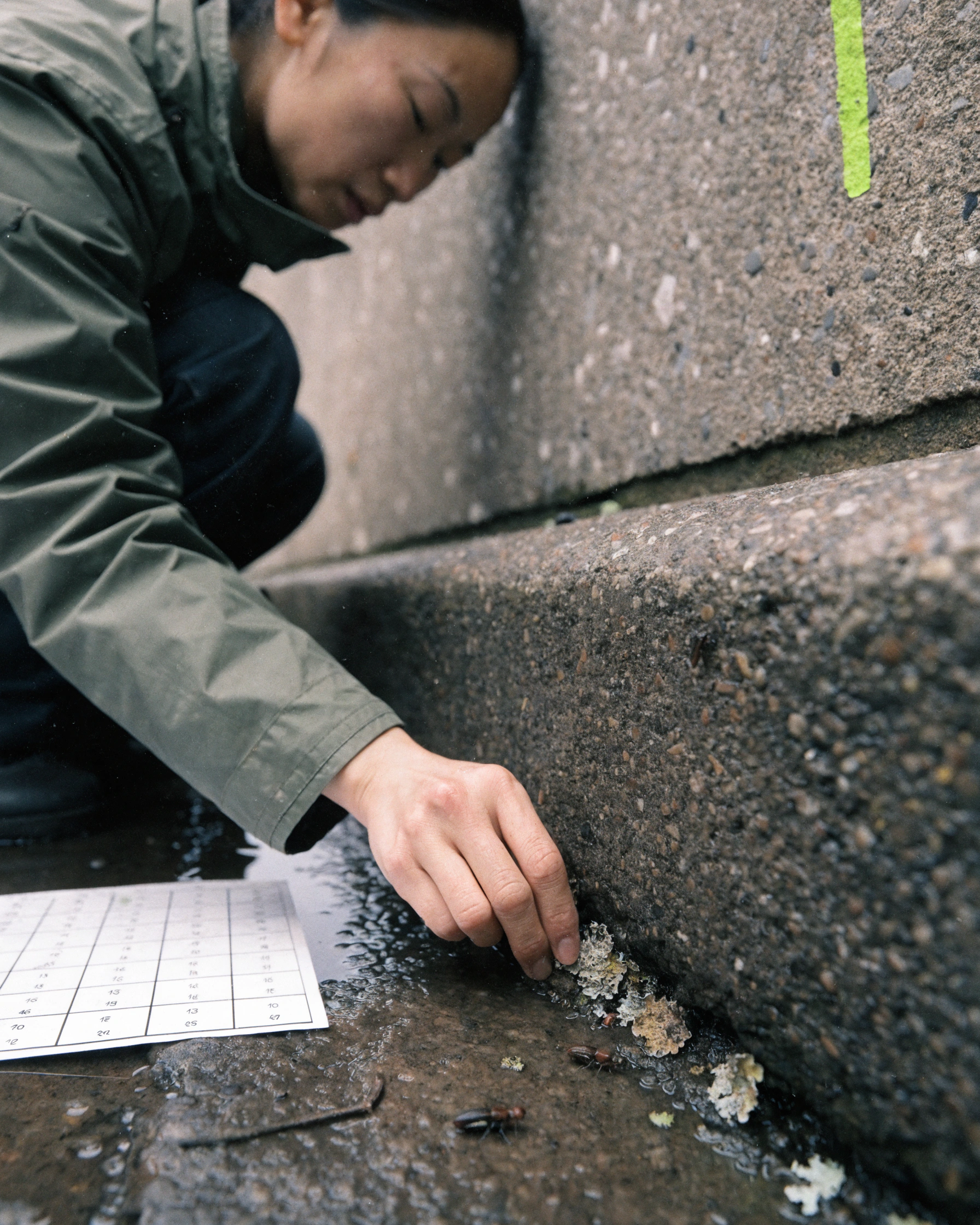 Field photographs and coordinates cover a working city map without decorative data.