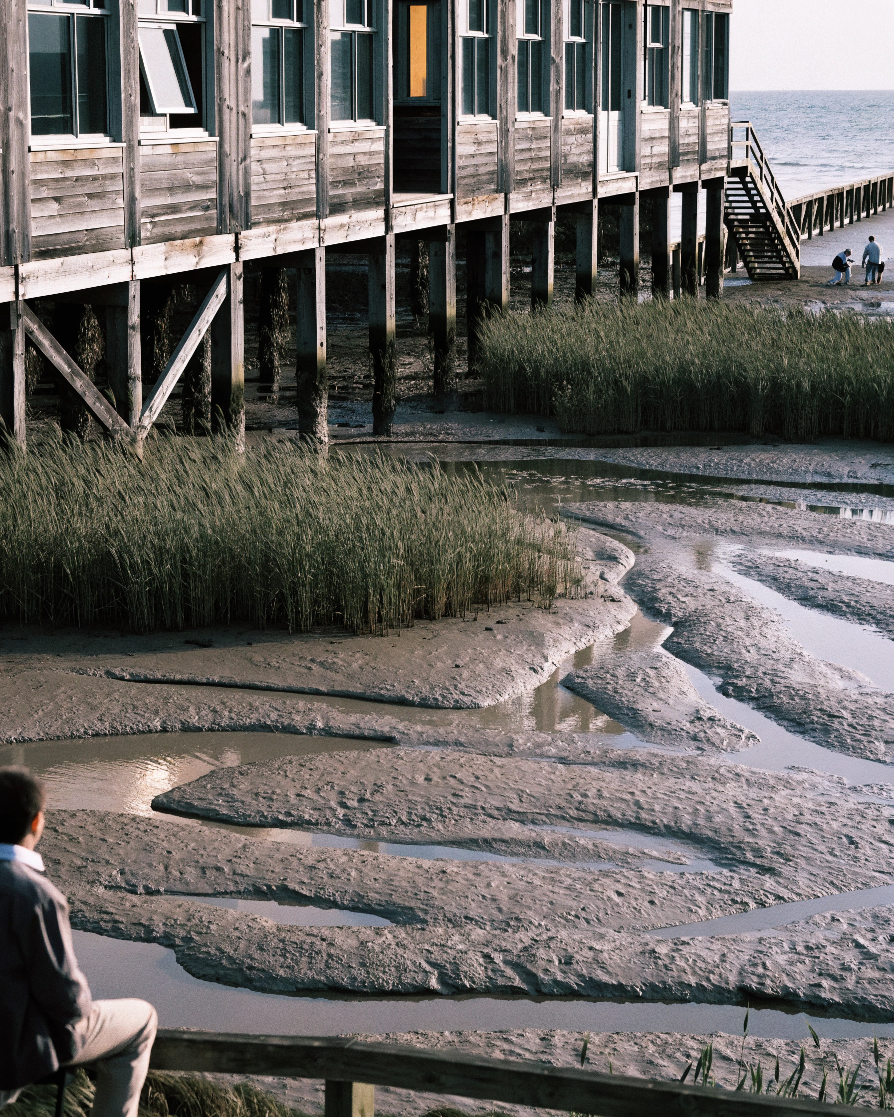 At low tide, the hotel view reveals mudflat channels and new plant growth.