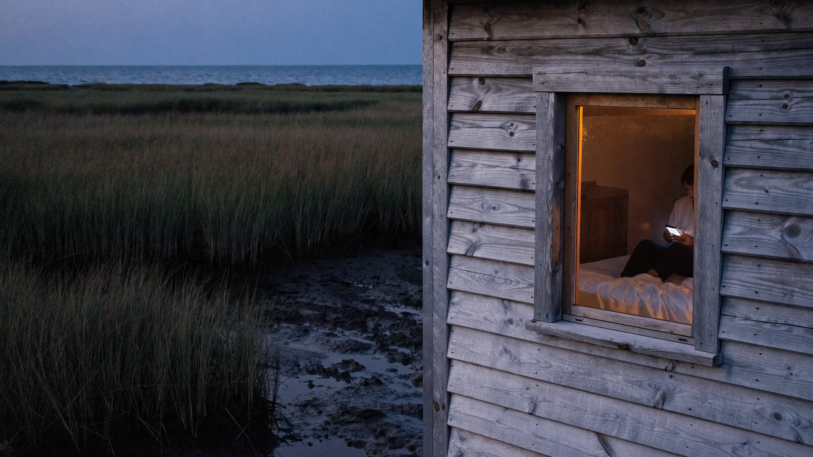One warm room window faces a dark, undisturbed marsh at night.